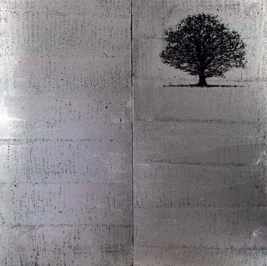 Ruslan Tremba - Silver landscape